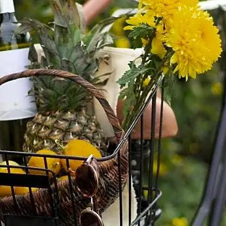 Tenuta Monteoliveto - Relax فندق مبيت وإفطار 3*